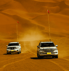 Desert Safari