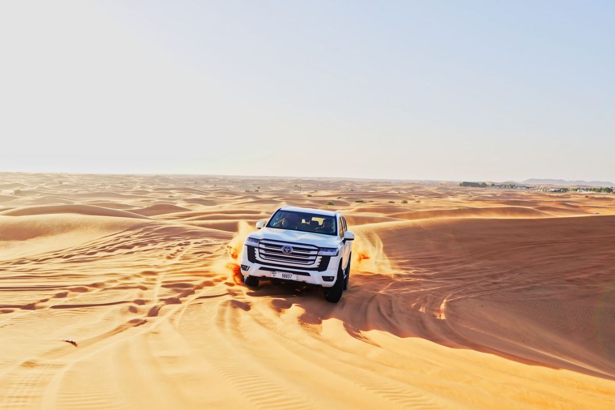 Premium Evening Desert Safari & BBQ Dinner