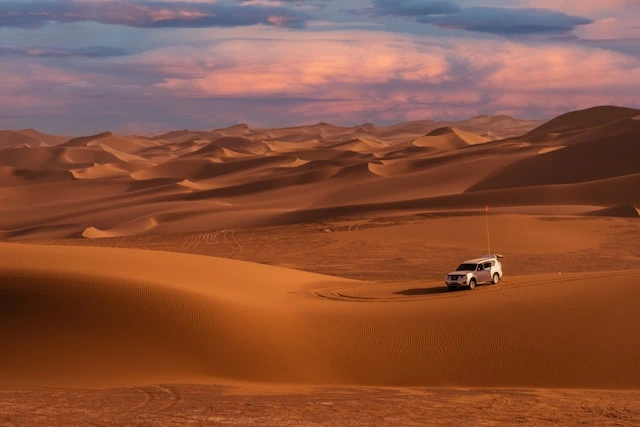 Standard Sunset Desert Safari