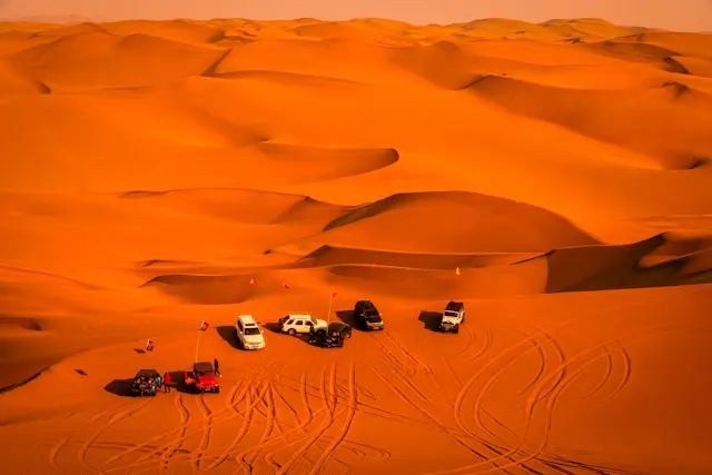 Premium Evening Desert Safari & BBQ Dinner