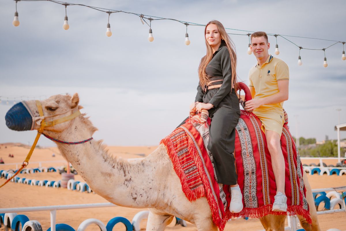 Standard Sunset Desert Safari