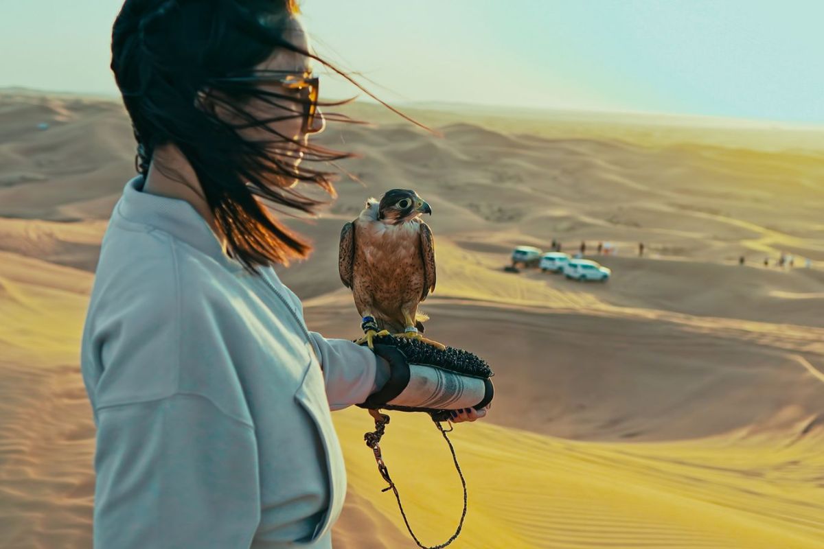 Combo Tour: Dubai, Abu Dhabi & Desert Safari | 3-in-1 UAE Adventure