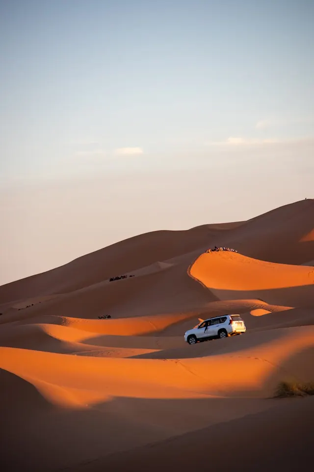Self-Drive Evening Desert Safari