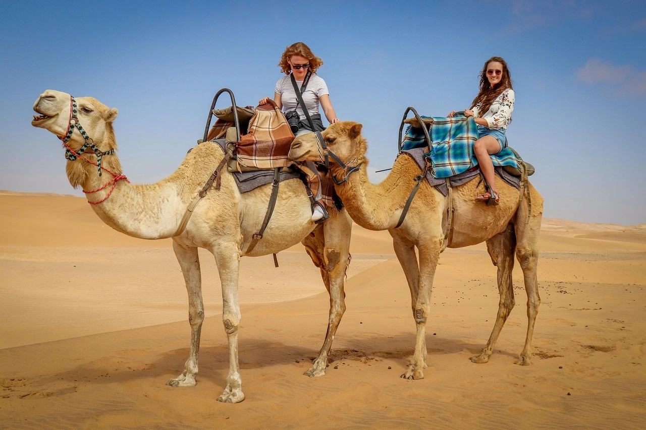 Combo Tour | Sheikh Zayed Grand Mosque + Evening Desert Safari