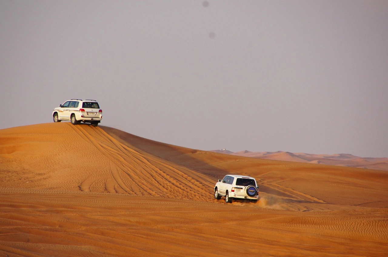 Combo Tour | Sheikh Zayed Grand Mosque + Evening Desert Safari